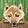 slowvioletwolf69578 icon